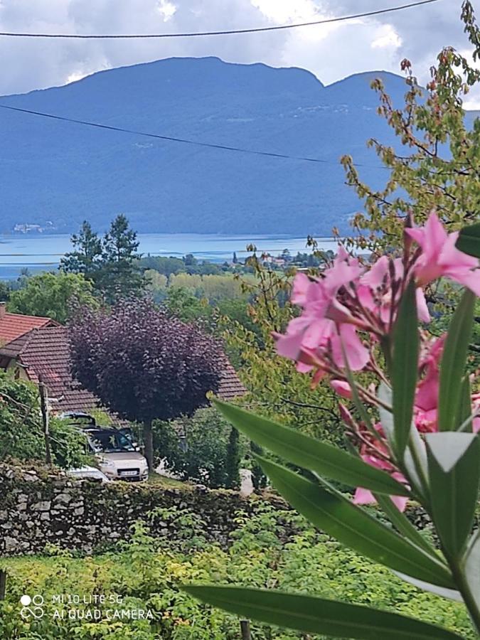 Du Vent Dans Les Arbres -120M2 Belle Vue Sur Le Lac Chindrieux Exterior foto