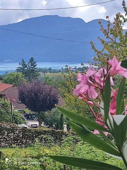 Du Vent Dans Les Arbres -120M2 Belle Vue Sur Le Lac Chindrieux Exterior foto